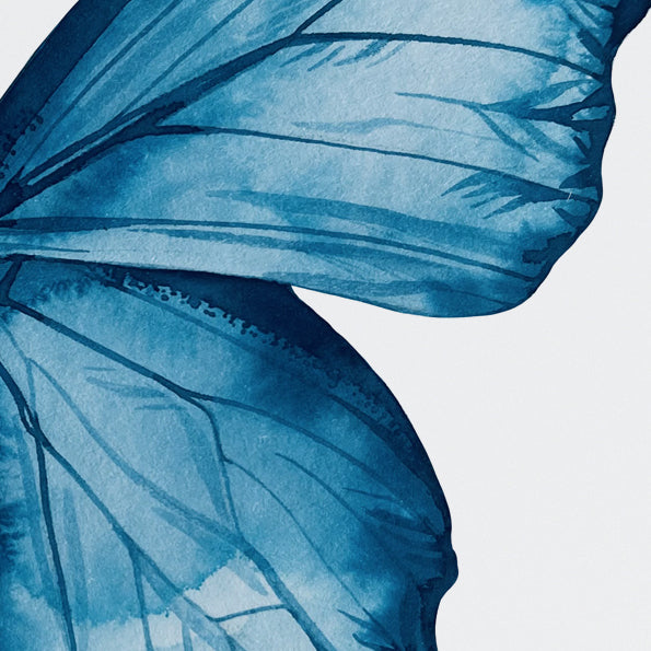 Blue butterfly watercolour print