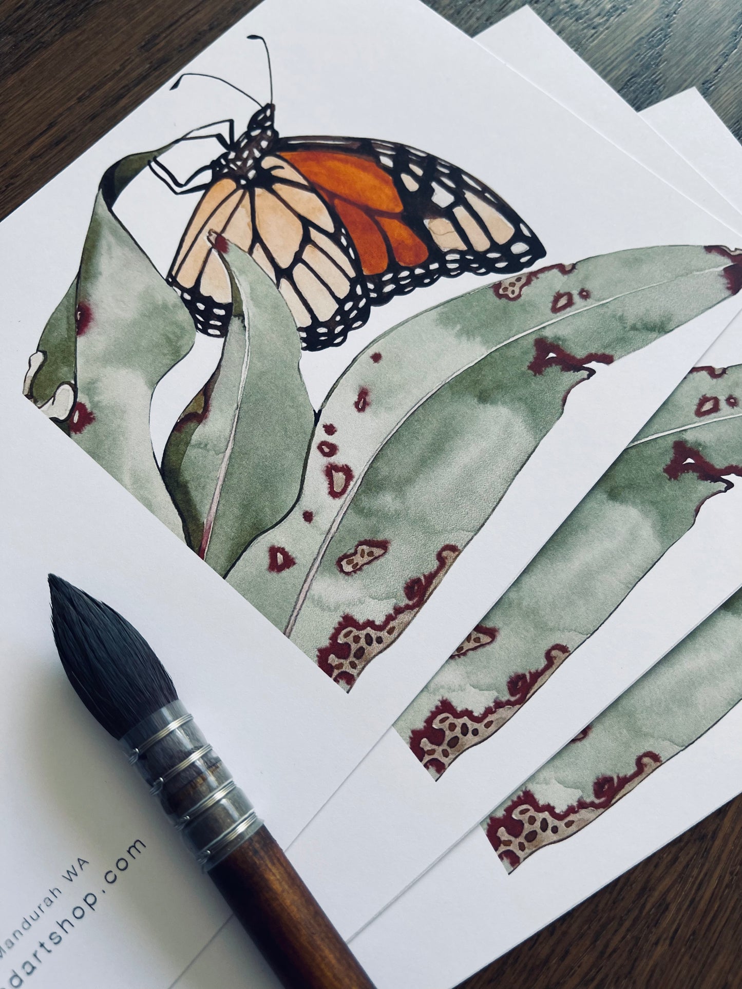 Monarch butterfly art card sets