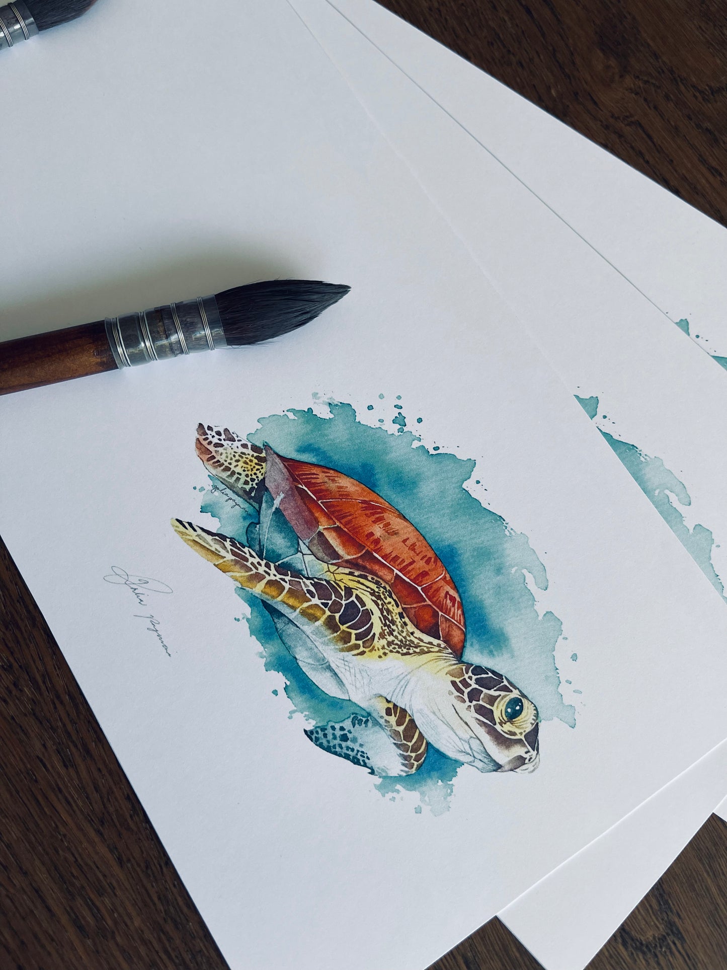 Sea turtle art card sets