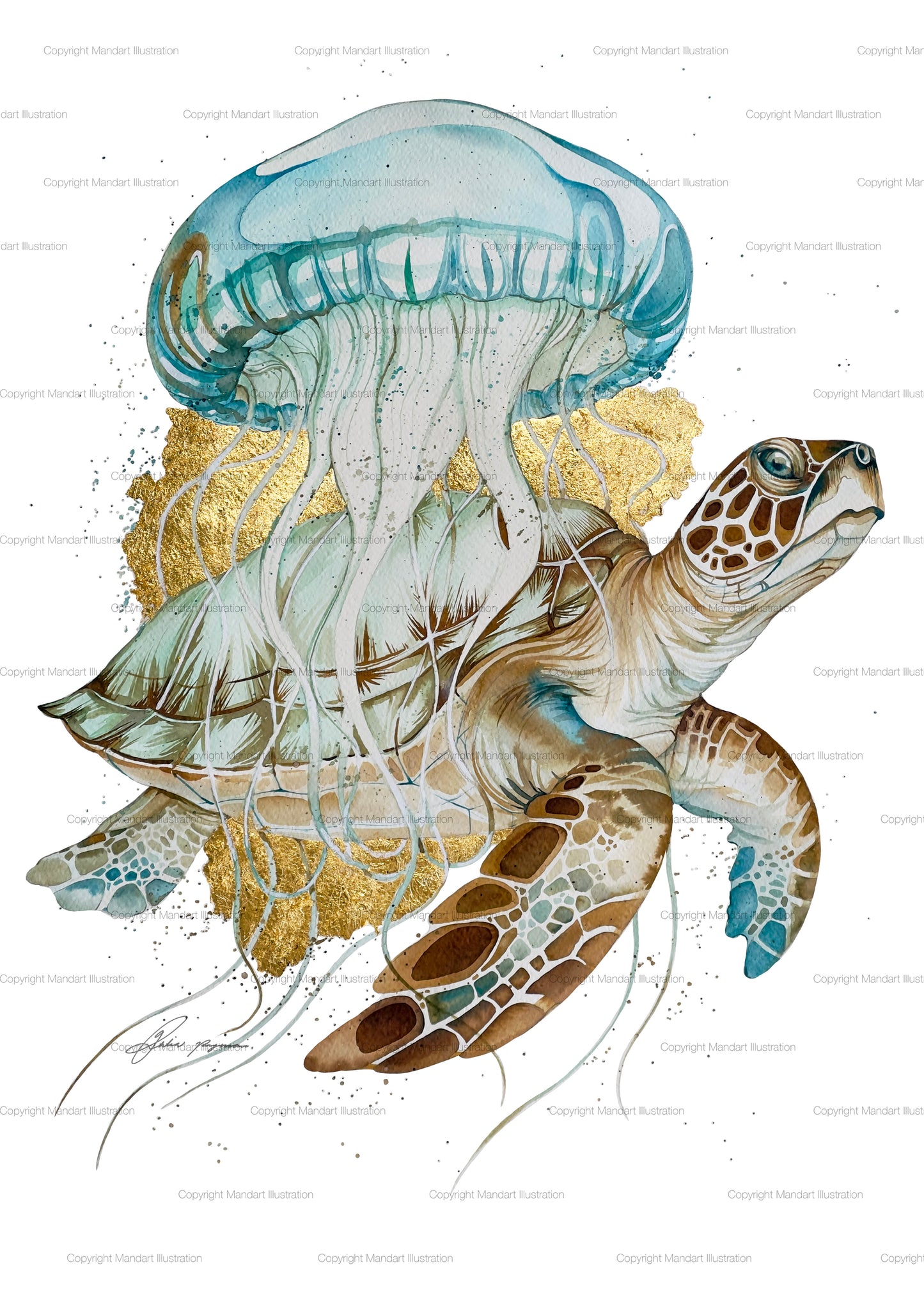 Sea turtle and jellyfish watercolour illustration