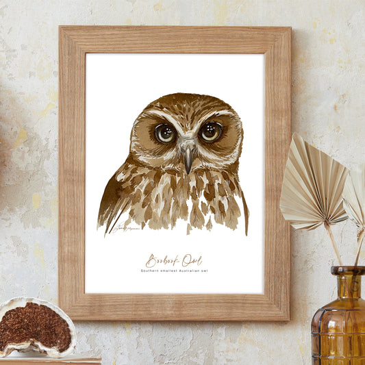 Boobook owl watercolour print