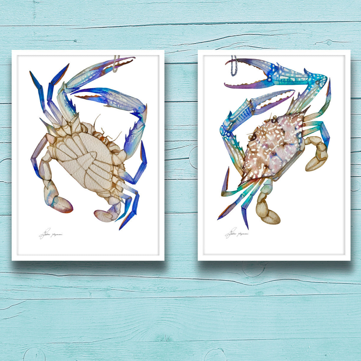 Two salty crabs watercolour print