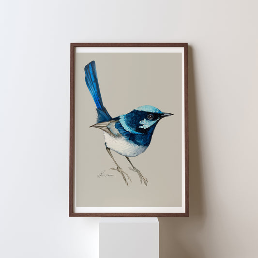 Blue wrens watercolour prints