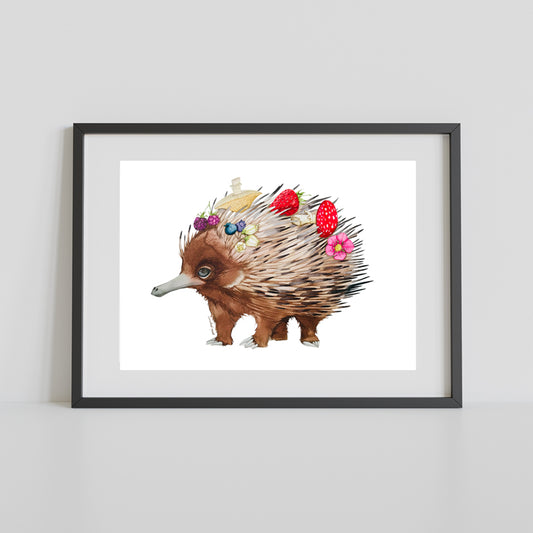 Ed the echidna watercolour print