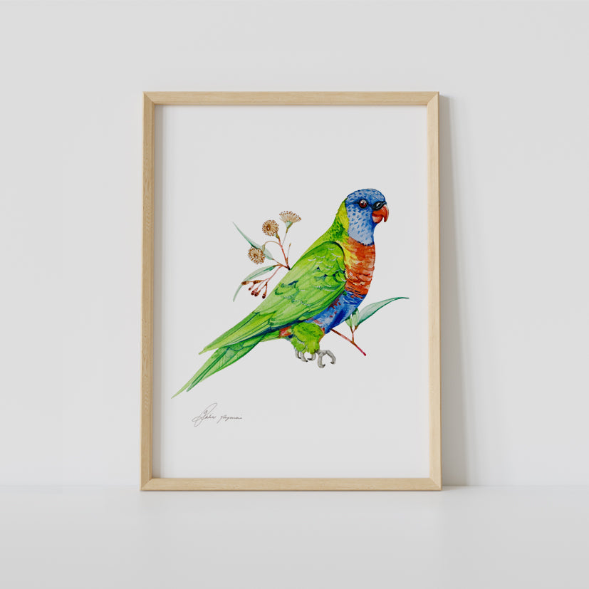 Aussie birds watercolour print